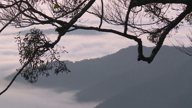 京都大江山下的云海视频素材