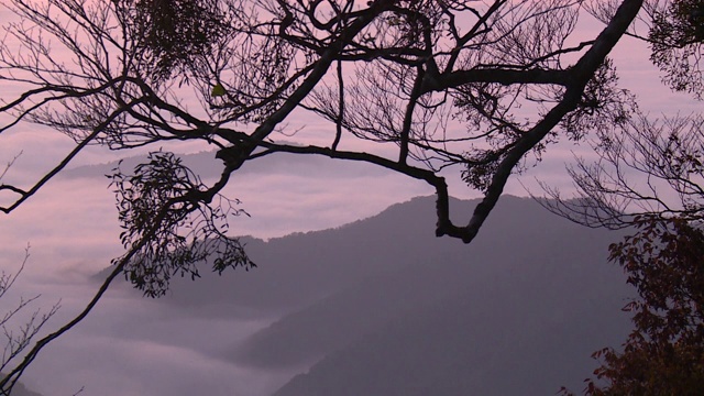 京都大江山下的云海视频素材