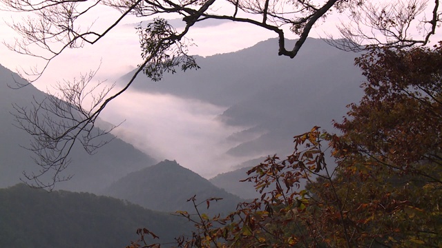 京都大江山下的云海视频素材