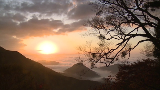 京都大江山下的云海视频素材