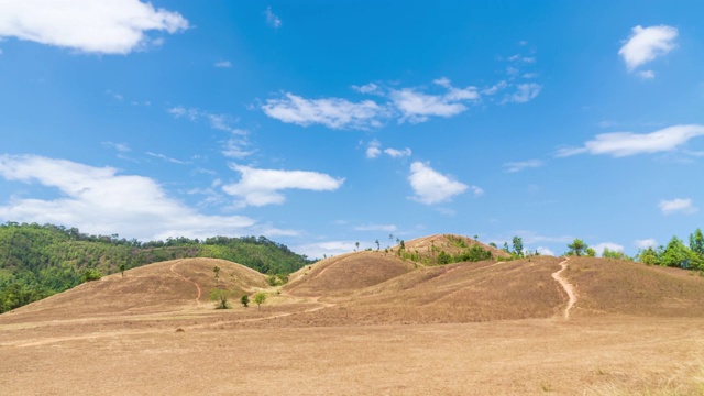 泰国拉廊风景区的金草或秃山山;缩小-时间流逝视频素材