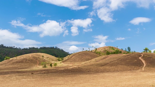 泰国拉廊风景区的金草或秃山山;右平移-时间推移视频素材