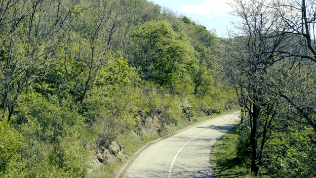 柏油路穿过森林，无人机移动射击视频素材