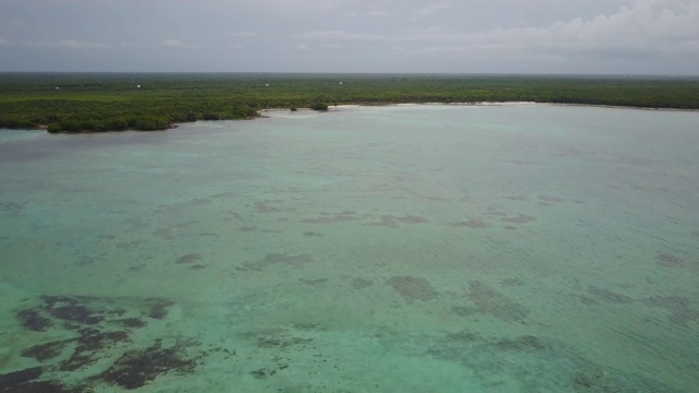 Tulum墨西哥无人机未开发的海湾珊瑚礁加勒比航拍视频素材