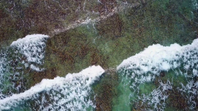 海浪冲击着加勒比海海滩上的珊瑚礁视频素材