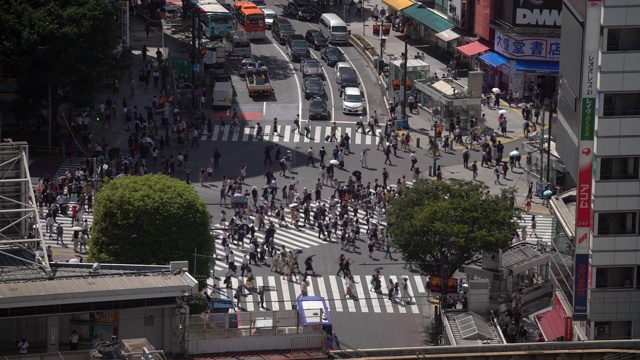 鸟瞰图行人拥挤的十字路口和日本东京涩谷火车站视频素材