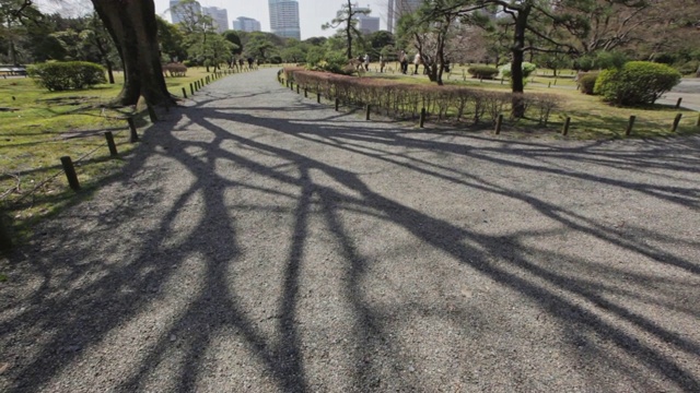 人们在Hamarikyu花园散步视频下载