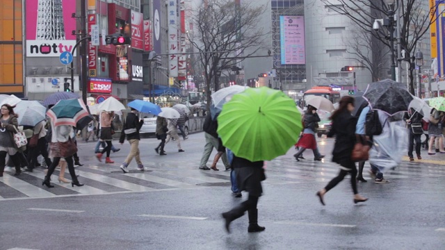 涉谷十字路口的人们打着雨伞，以城市为背景视频素材