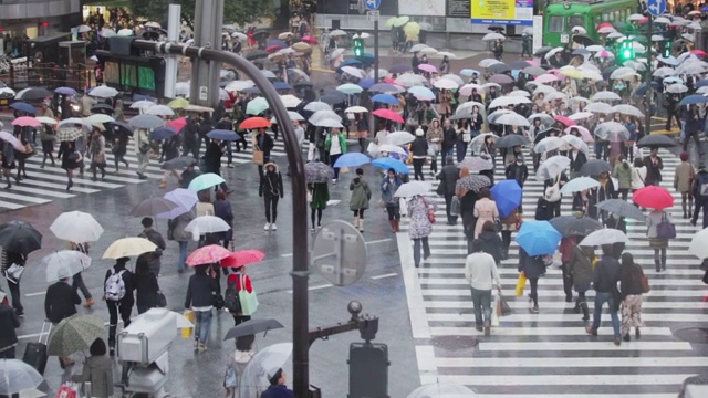 涉谷十字路口的人们打着雨伞，背景是车站视频素材