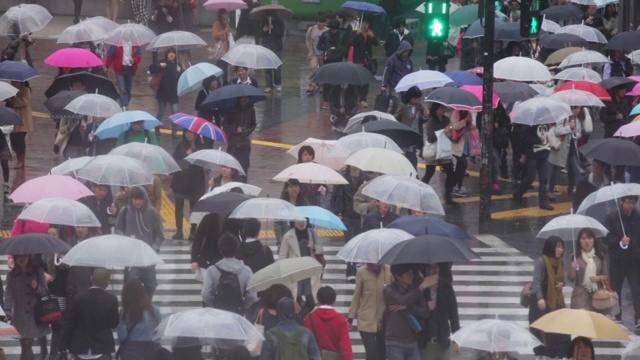 涉谷十字路口的人们撑着雨伞视频下载