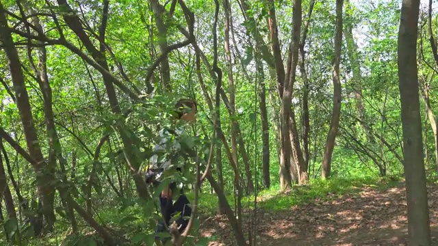 年轻女子徒步登山视频素材