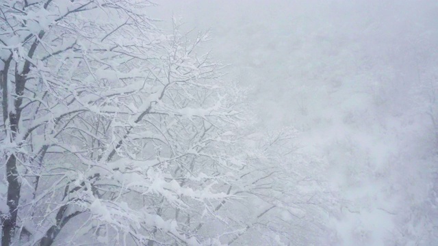 雪山在俯视图视频素材