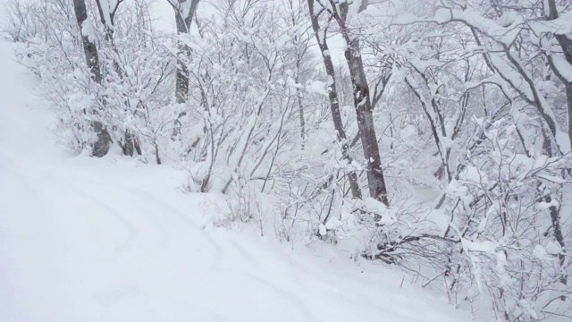 雪的山视频素材