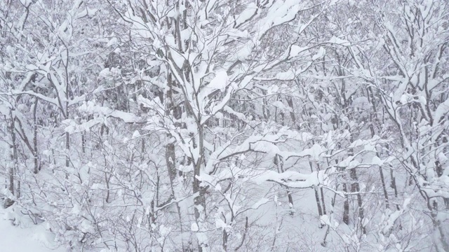 下雪的一天视频素材