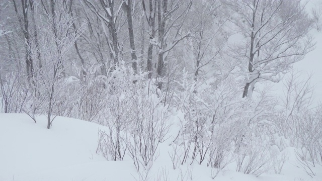 冬季天然雪视频素材