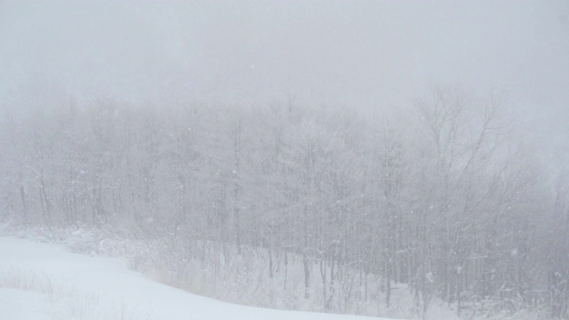 下雪的冬天视频素材