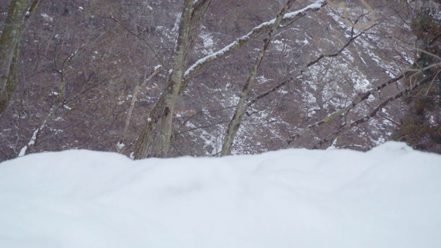 雪4 k视频素材