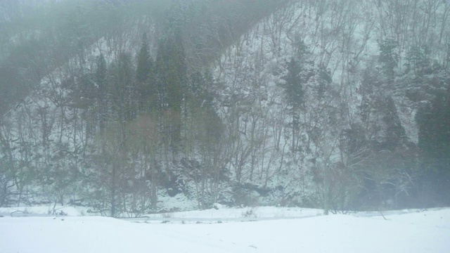 日本冬天下雪视频素材