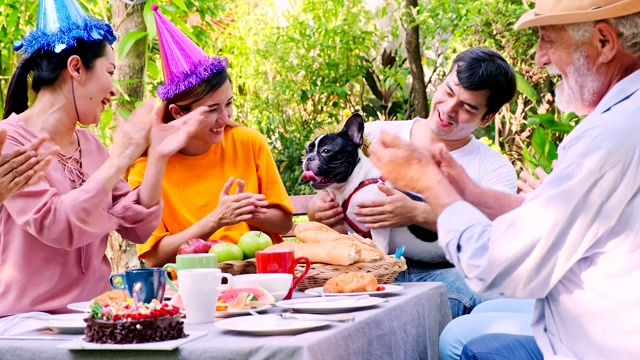 户外的家庭聚会。指着狗。亚裔老年男性，女性，白人男性和女性，孕妇。大家庭团圆理念，夏日时光。视频素材