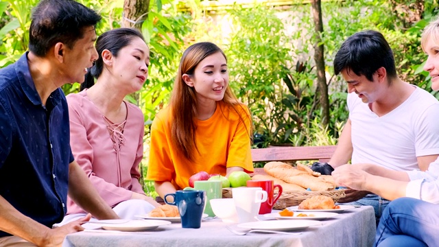 户外的家庭聚会。玩狗。亚裔老年男性，女性，白人男性和女性，孕妇。大家庭团圆理念，夏日时光。视频素材