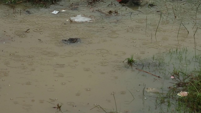 季风雨水流量视频素材