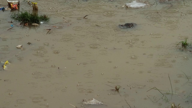 带泡泡的雨滴视频素材