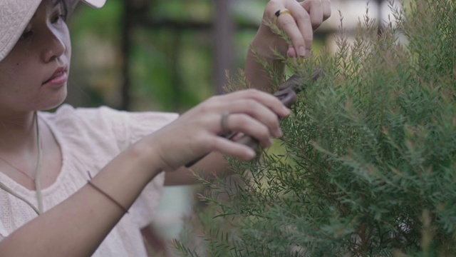 快乐和积极的亚洲妇女修剪一棵树。视频素材