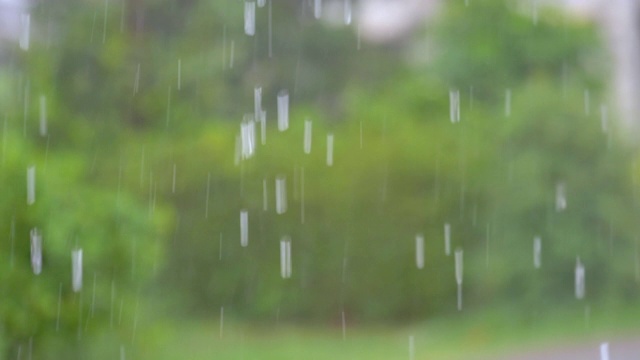 雨和雨滴落在绿色背景上的慢动作场景视频素材