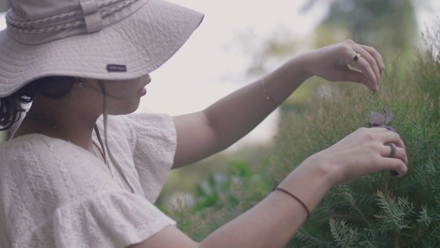 妇女在室外花园修剪植物。视频素材