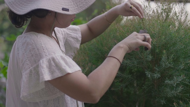 戴着帽子的年轻女子在室外花园修剪树木。视频素材