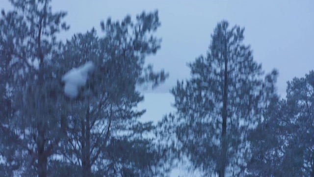 芬兰的拉普兰，宁静的蓝色雪覆盖的景观——空中升起视频素材