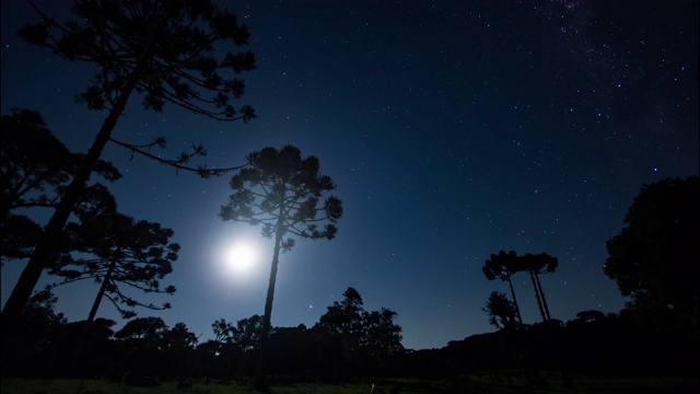 月亮在一个有星星的夜晚升起在乡村风景视频素材