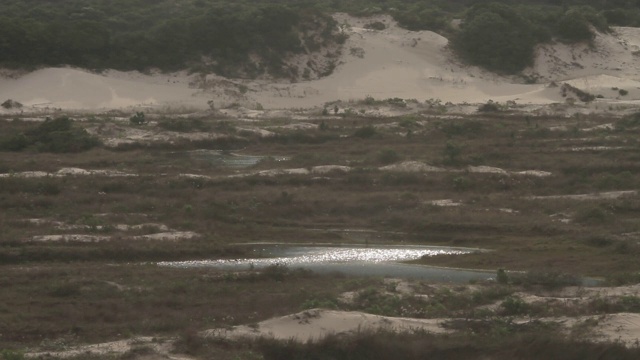 远摄(300mm)沙丘视频素材