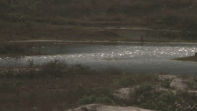 长焦拍摄(500毫米)的一个湖视频素材