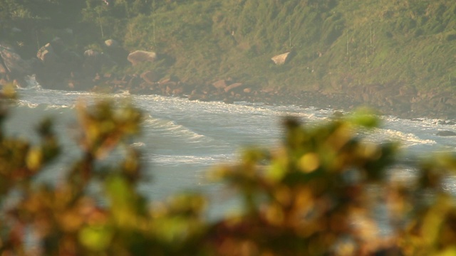 在Florianópolis的一个隐藏的海滩的高视图视频素材