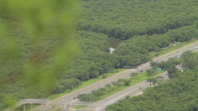 红树林和高速公路视频素材