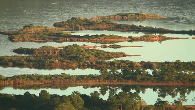 在“Lagoa da Conceição”湖的洪水森林的高视图视频素材