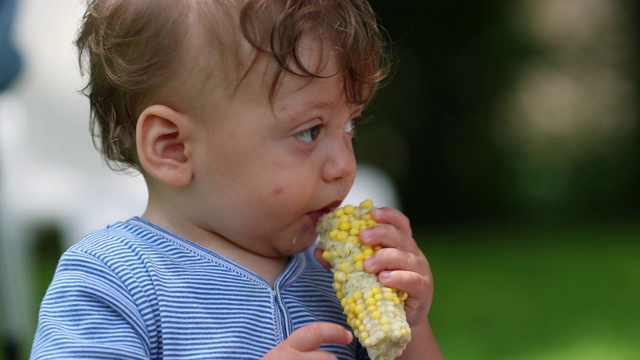 孩子在户外吃玉米。小男孩正在吃玉米棒子视频素材