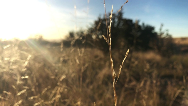 沙漠山地自然景观的灵感视频素材