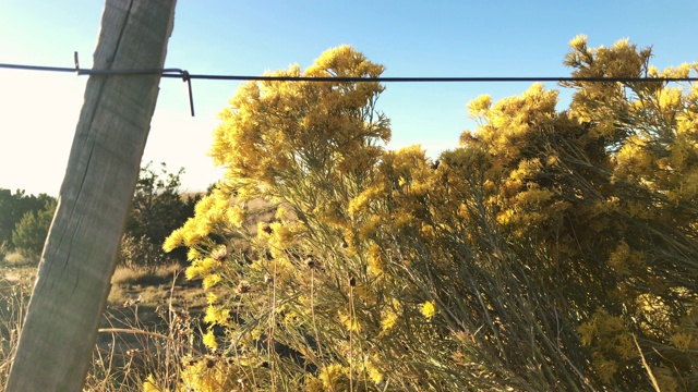 沙漠山地自然景观的灵感视频素材