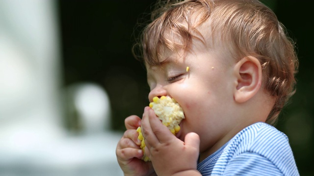 可爱的婴儿在吃玉米。父母喂养幼童健康的零食棒子视频素材