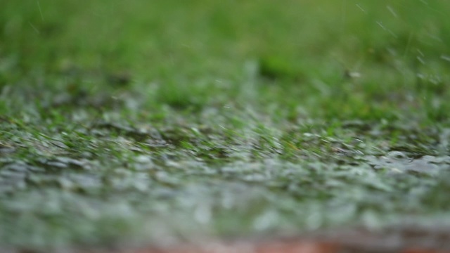 在夏天的雨天，雨滴以120帧/秒的慢速下落视频素材