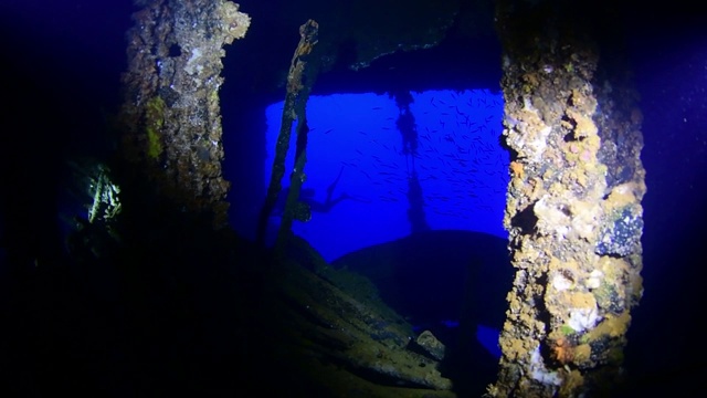 里约热内卢里约热内卢Maru上的潜水员，水下沉船，泻湖卡车，Chuuk Micronesia视频素材