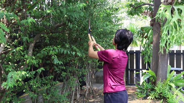 花园的工作视频素材