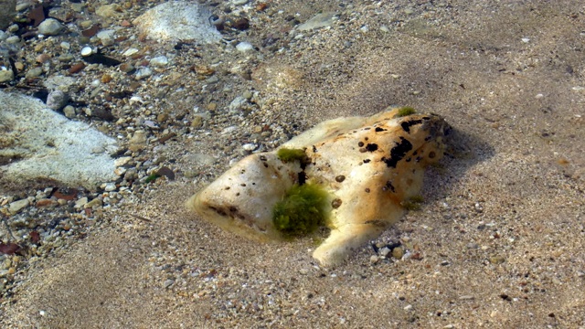 海上的卵石视频素材