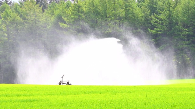 一个农民的田地被一个大型洒水车的水弄湿了视频素材