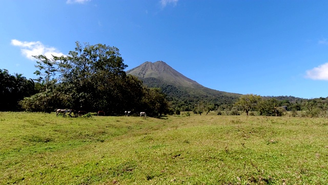 哥斯达黎加的阿雷纳尔火山国家公园视频素材