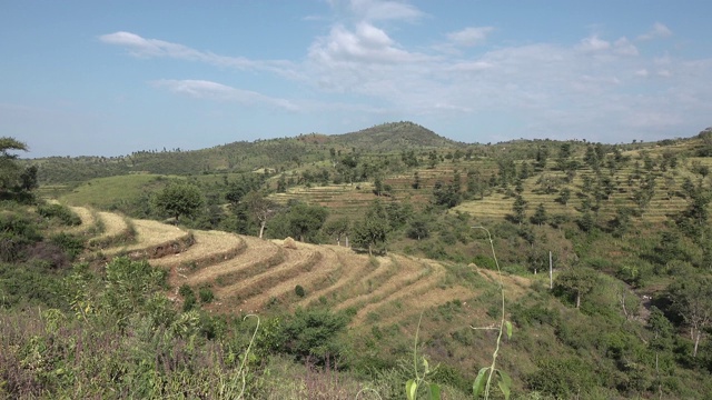 埃塞俄比亚长满青草和树木的山丘和山谷。视频素材