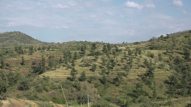 埃塞俄比亚长满青草和树木的山丘和山谷。视频素材