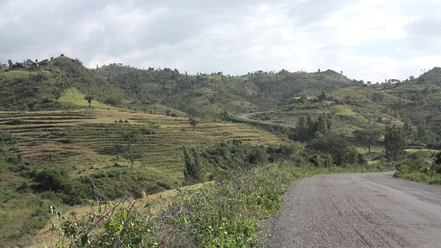 埃塞俄比亚长满青草和树木的山丘和山谷。视频素材